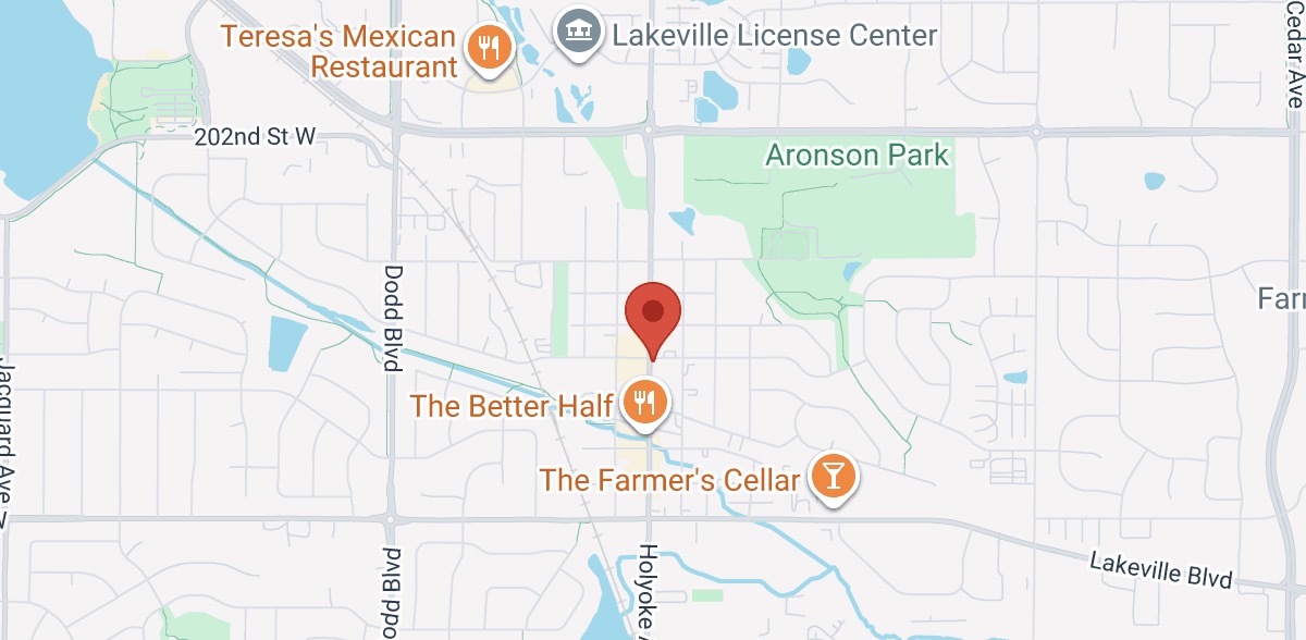 Lakeville Web Development Services